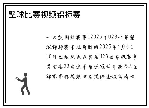 壁球比赛视频锦标赛